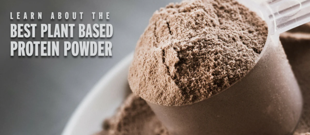 Discover the Top Plant-Based Protein Powder.
