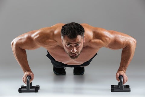 Increases muscle hardness and density