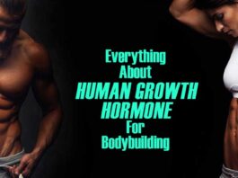 Everything About Human Growth Hormone For Bodybuilding